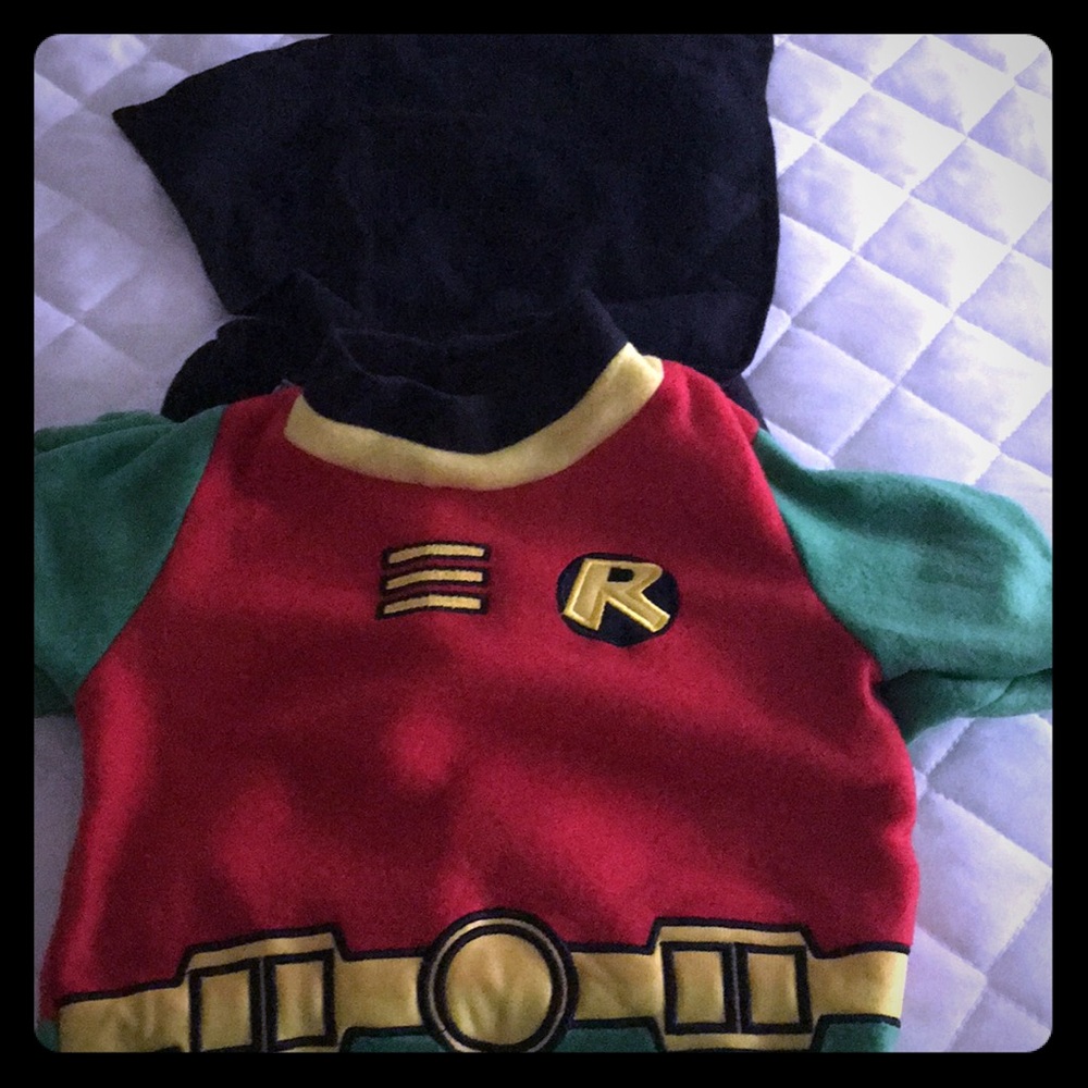 Halloween Costume-Robin